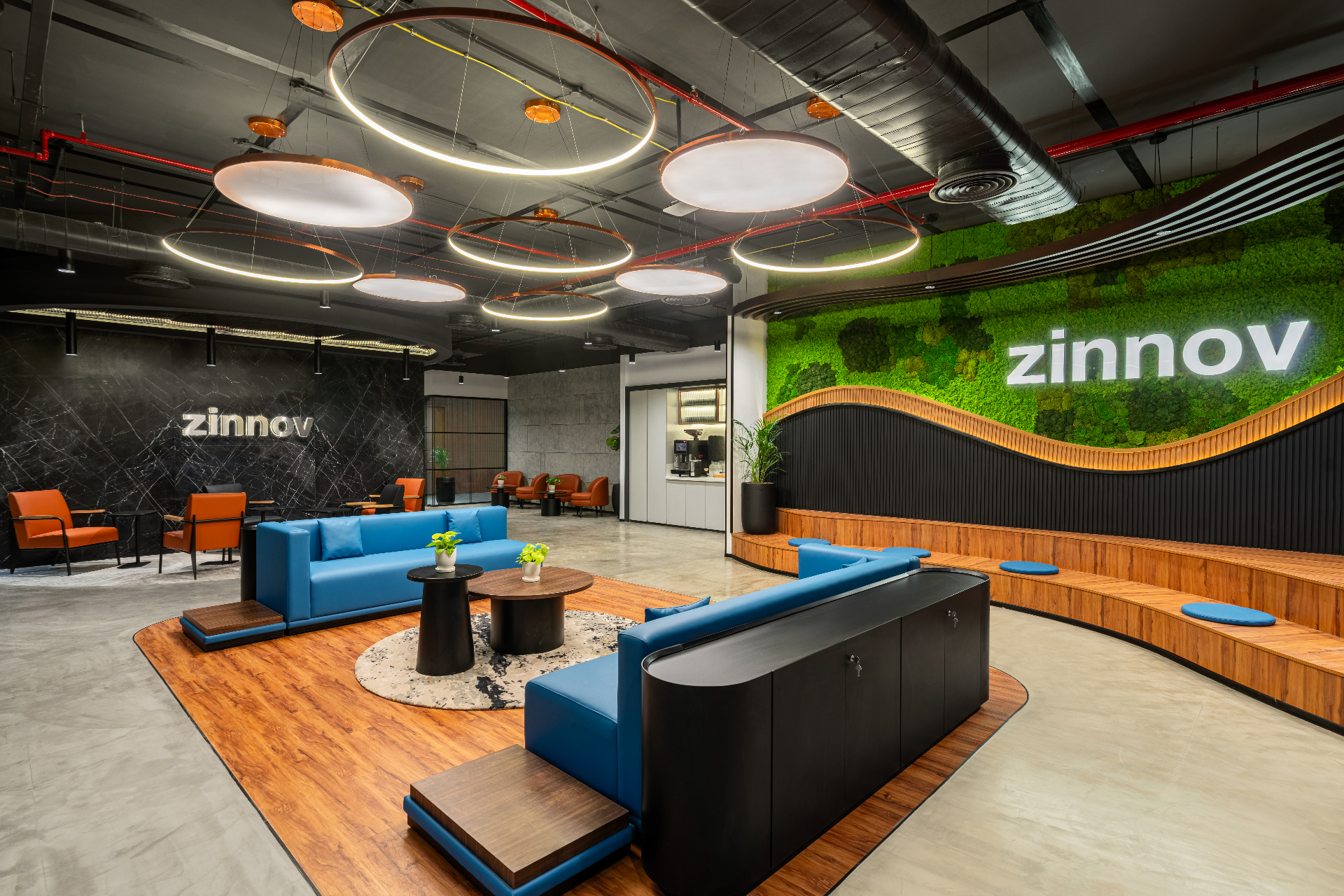 Zinnov project